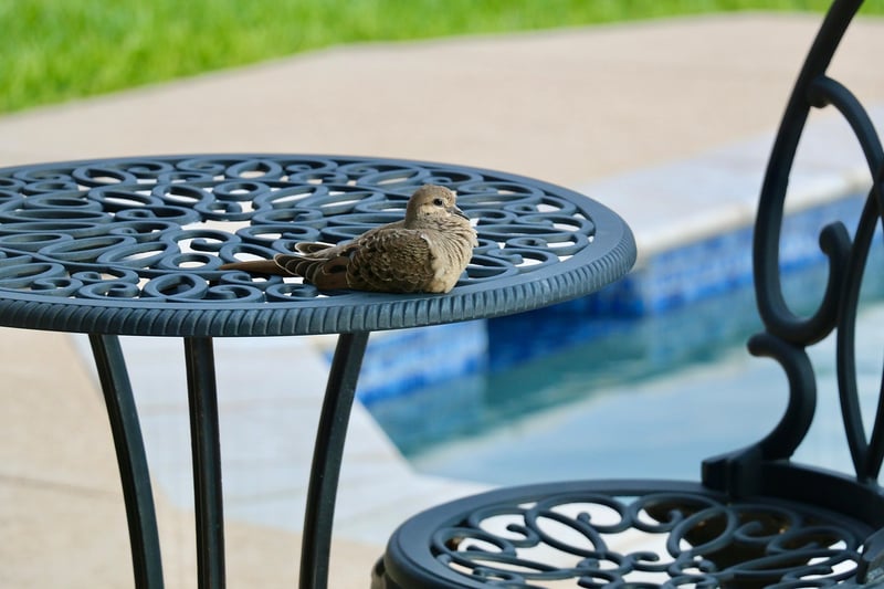 Upcycled patio furniture